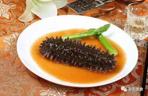 爆料海参被打视频大全集,揭露海洋生物遭受的残酷现实